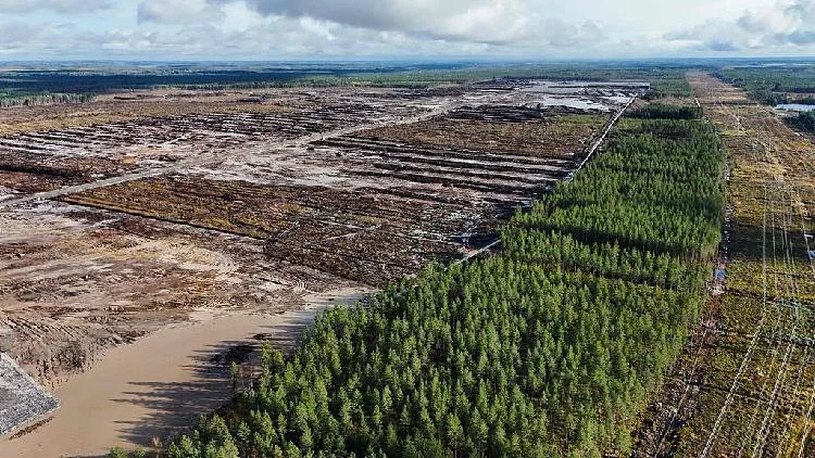 Google Finland'da data merkezleri inşaatını durduruldu