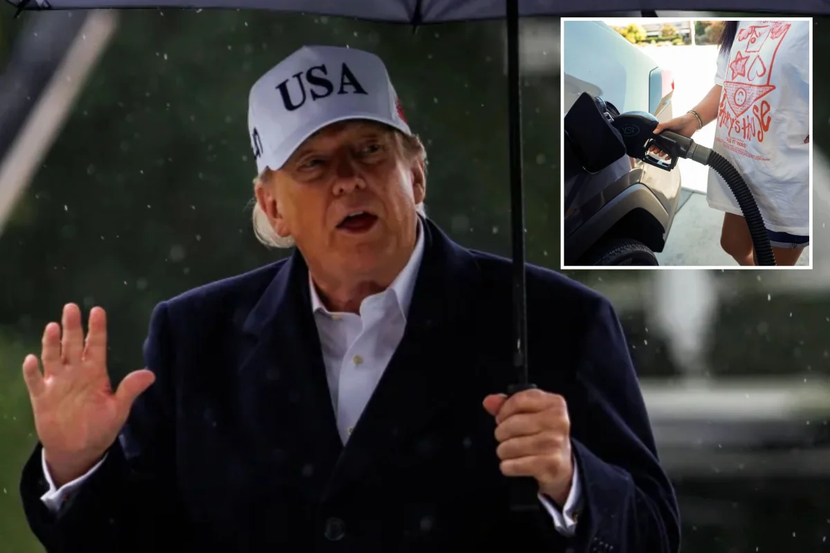 Trump Yönetimi Otomobil Üreticileri İçin Yakıt Verimliliği Kurallarını Kaldırıyor