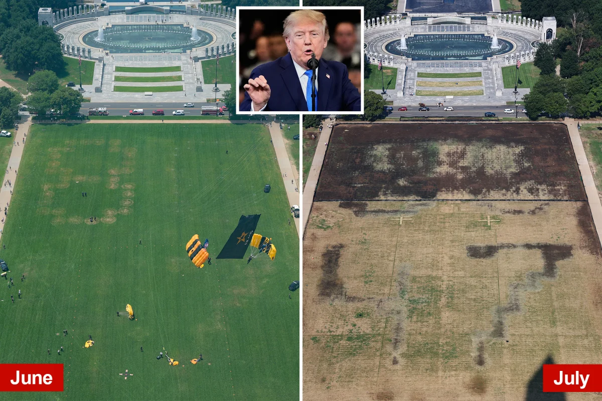 Trump Milli Park'ta Olu Dead Grass'i Vandalizmle Acikliyor