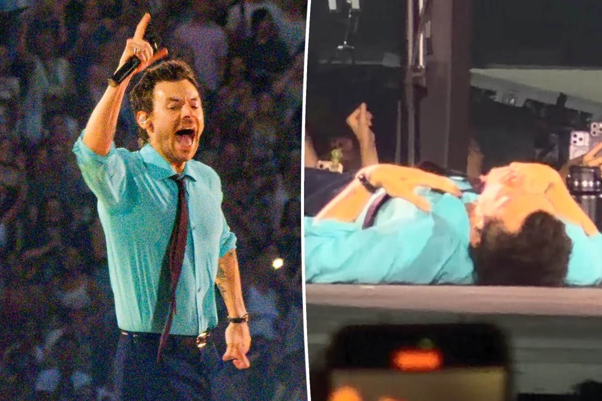 Harry Styles, Brezilya konserini son dakika iptal etti