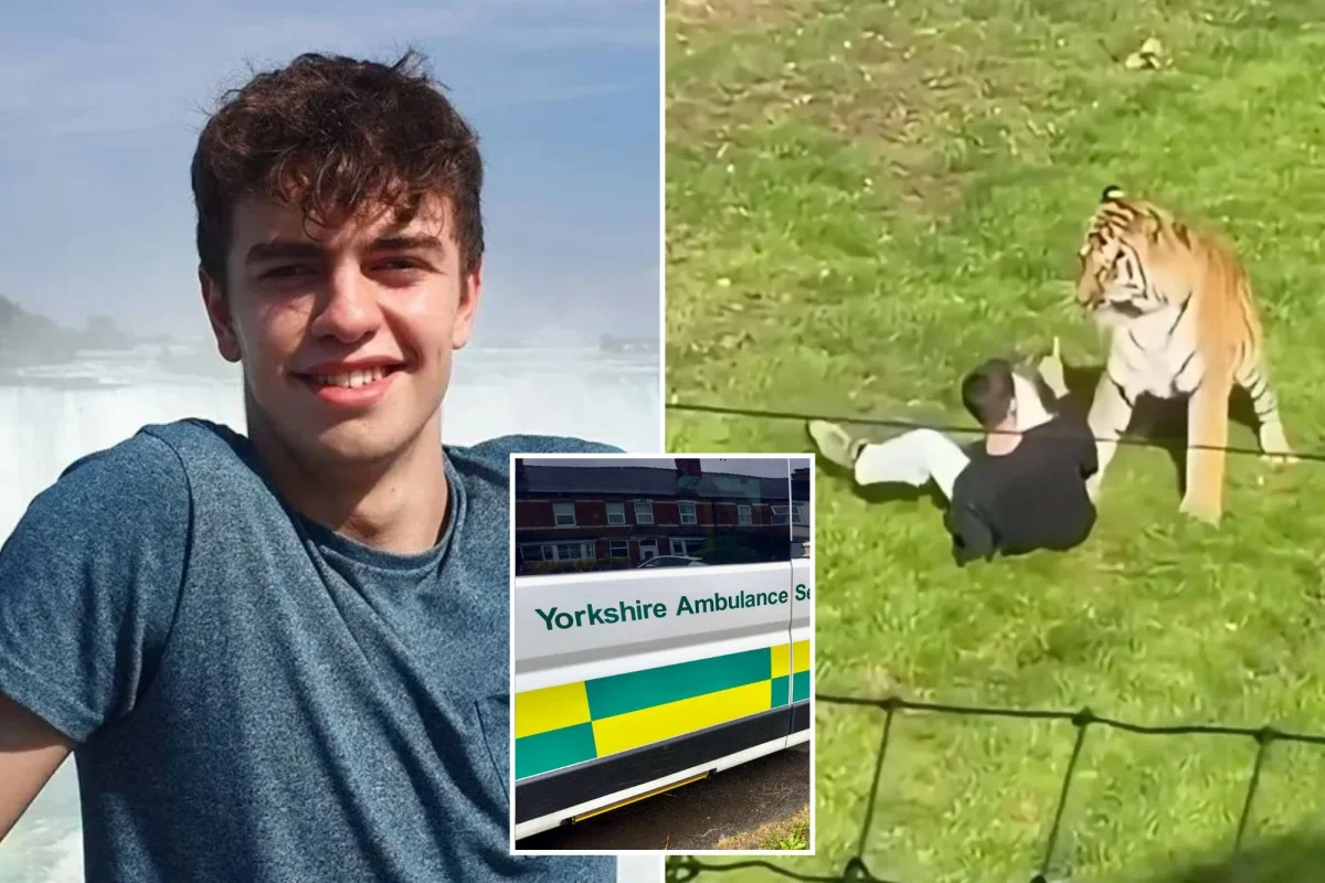 NHS Ambulans Calisanlari, Bir Kadinin Domakalinda Oldugu Adamin Saglik Kayitlarina Eriştiler