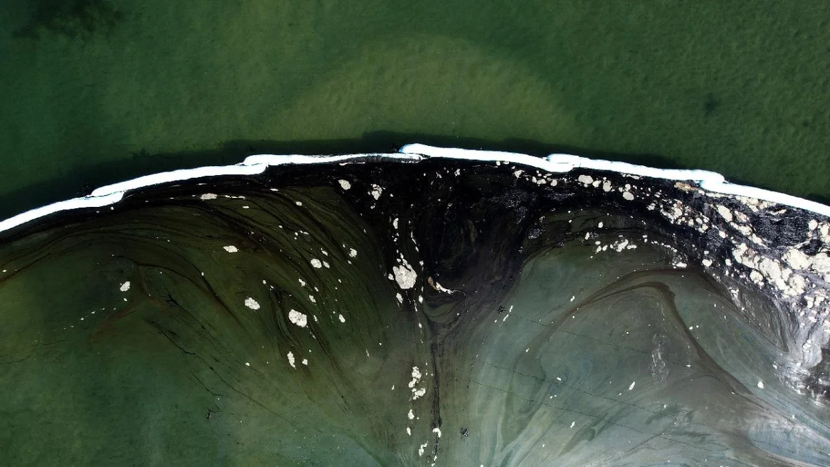 Anvers Limanı'nda Petrol Sızıntısı Gemi Trafiğini Durdurdu