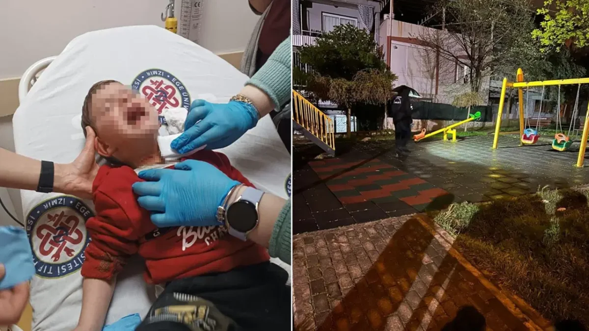 İzmir'de Parkta Çocuğa Bıçaklı Saldırı: Madde Bağımlısı Zanlı Yakalandı