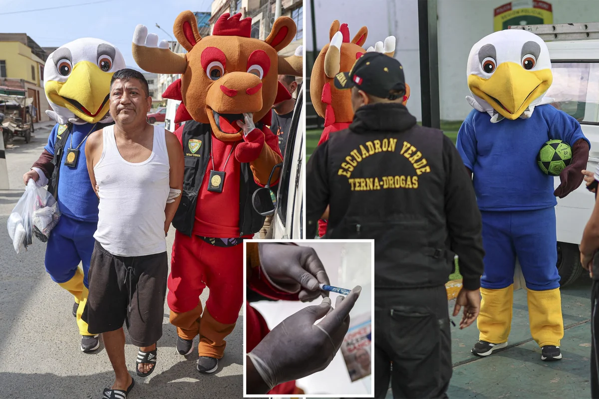 Peru'da polis Dünya Kupası maskotu kılığına girdi