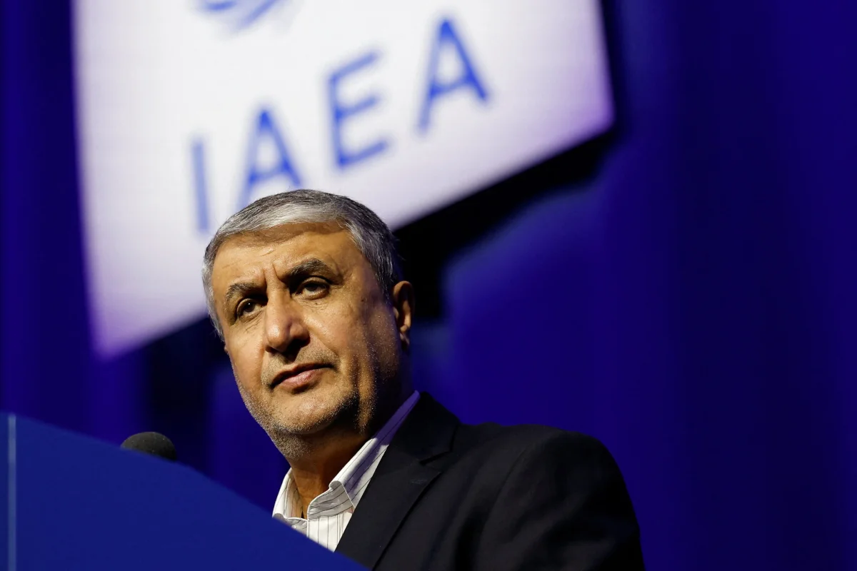 İran nükleer başkanı, AB baskısıyla Viena'daki IAEA toplantısından dışlandı