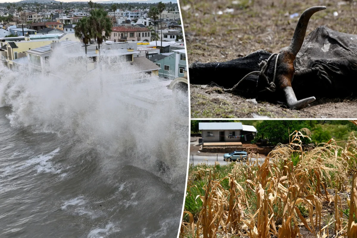 El Nino, rekor ısı seviyelerine ulaştı, en kötü sezonun 1.000 yıl için uyarısı